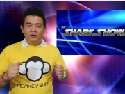 sharkshows