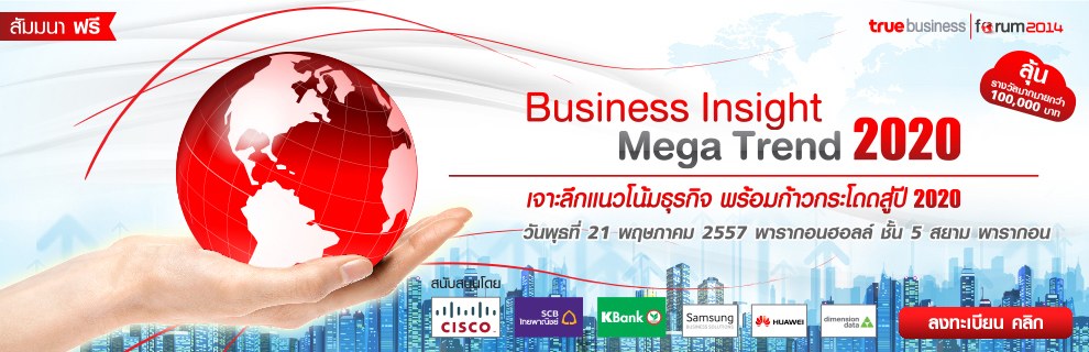 Business Insight MegaTrend