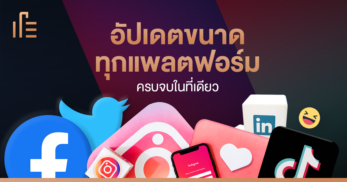 อัปเดตขนาดทุกแพลตฟอร์ม ครบจบในที่เดียว • Thumbsup